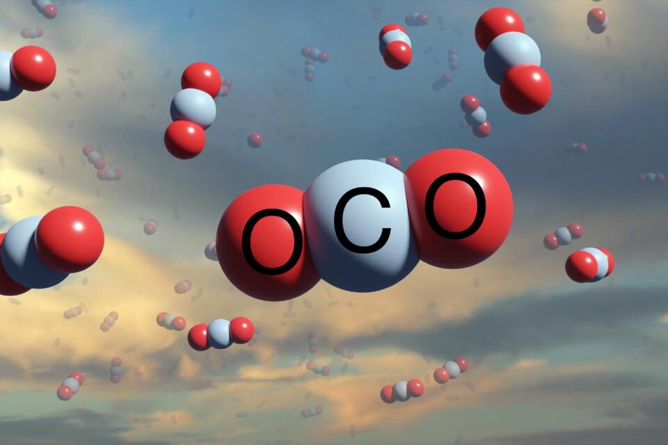 Süße Energie aus CO2