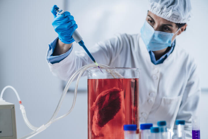 Bio-Intelligenz – Bissen mit Bits und Bytes:Gerade hinsichtlich der rasant wachs ...