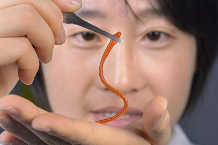 Bionics – self-lubrication earthworm-style: The dirt-repellent, glide-enhancing ...