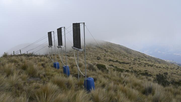 Fog nets in Bolivia … 