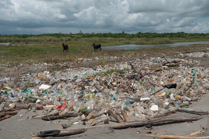 Das Problem: Je kleiner die Plastikstücke werden, desto schwieriger wird es, sie ...