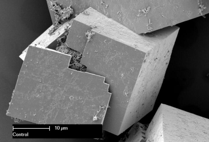 MOFsMOFs (metal-organic frameworks) form highly porous solids out of metal ions ...