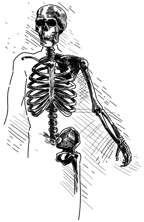 Die Da-Vinci-Formel