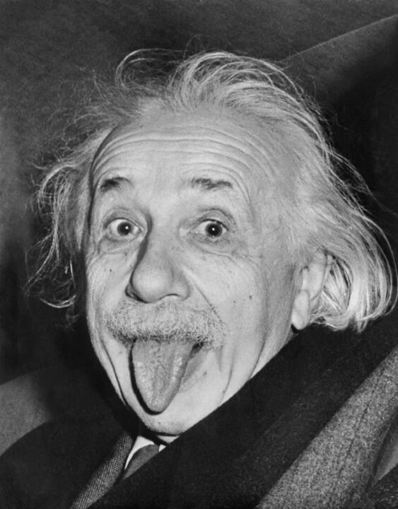 Der Einstein der Weisen